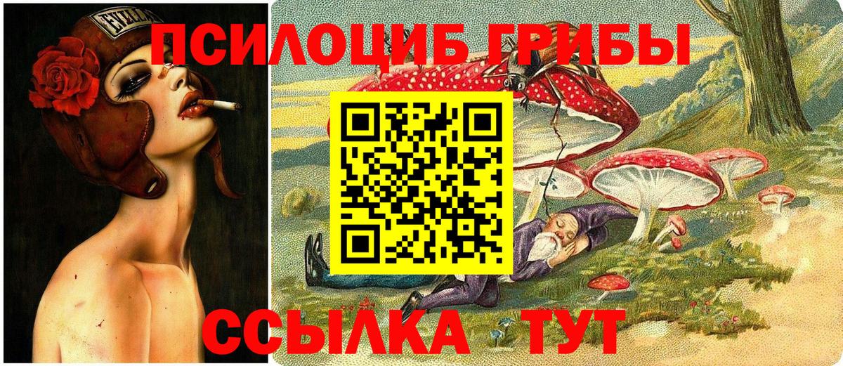 Псилоцибиновые грибы мицелий Югорск